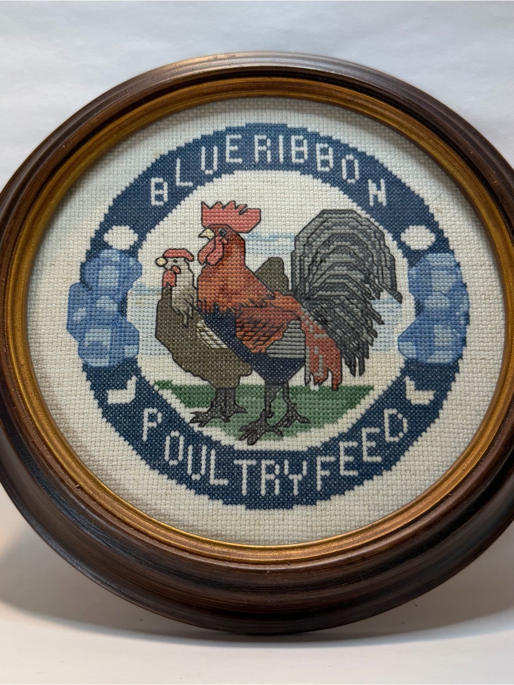 Chicken Framed Cross Stitch Cottage Country Core Blue Ribbon Poultry Read!